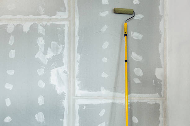 Professional Drywall & Painting Services in Camino, CA